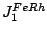 $ J_1^{FeRh}$