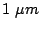 $ 1 \mu m$