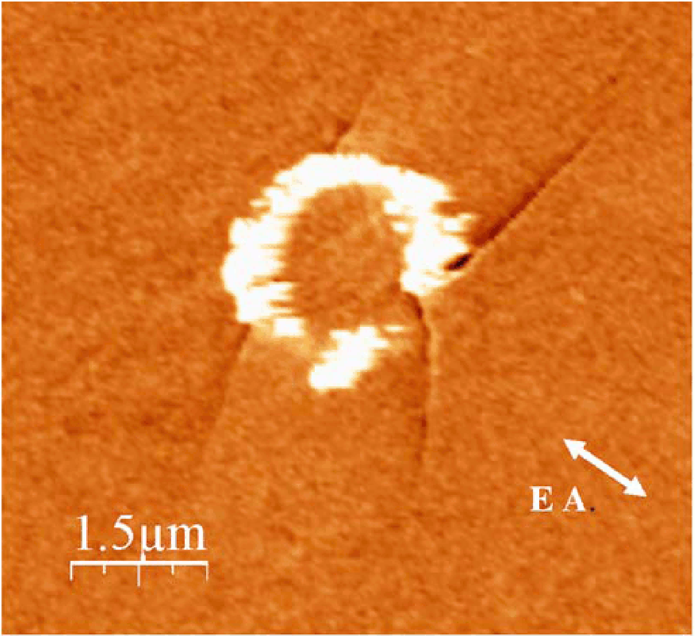 \includegraphics[height=6.cm]{Capitulo5/Graficas5/mfmoviedo}