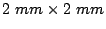 $ 2 mm \times 2 mm$