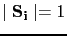 $ \mid\mathbf{S_{i}}\mid=1$